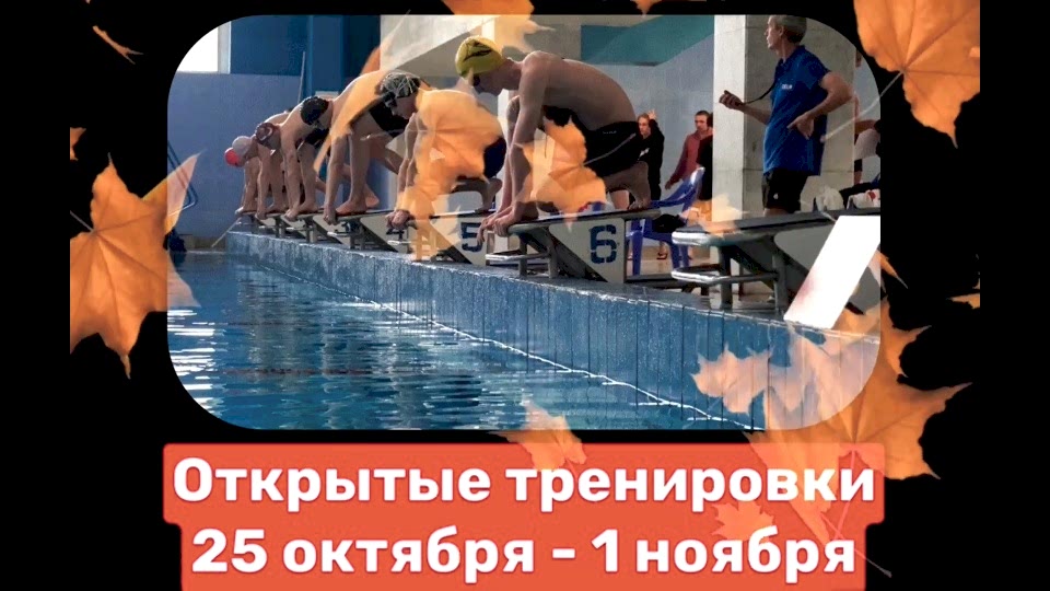 Открытые тренировки в большом бассейне!