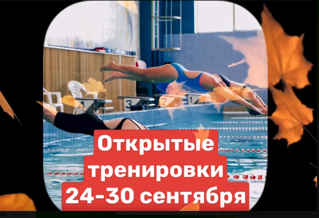 Открытые тренировки в большом бассейне!